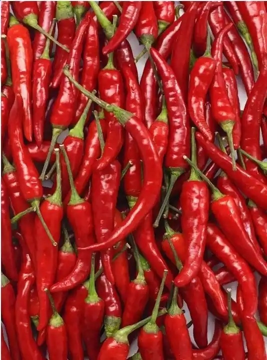 Сортировщица цвета пояса Chili горячего перца с камерой RGB