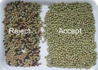 Высокоточный сортировщик цвета Wenyao для бобов, зерна, злаков, пшеницы, кукурузы, семян, чая, орехов, сортировщик цвета с Wi-Fi и дистанционным управлением