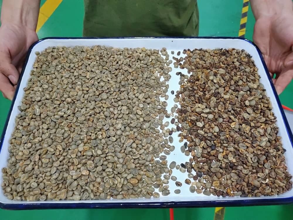 Высокоточный сортировщик цвета Wenyao для бобов, зерна, злаков, пшеницы, кукурузы, семян, чая, орехов, сортировщик цвета с Wi-Fi и дистанционным управлением