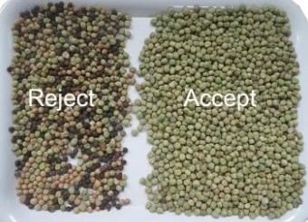 Wenyao Full Automatic 2-6 T/h CCD Camera Color Sorter, машина для выбора цвета для зерна