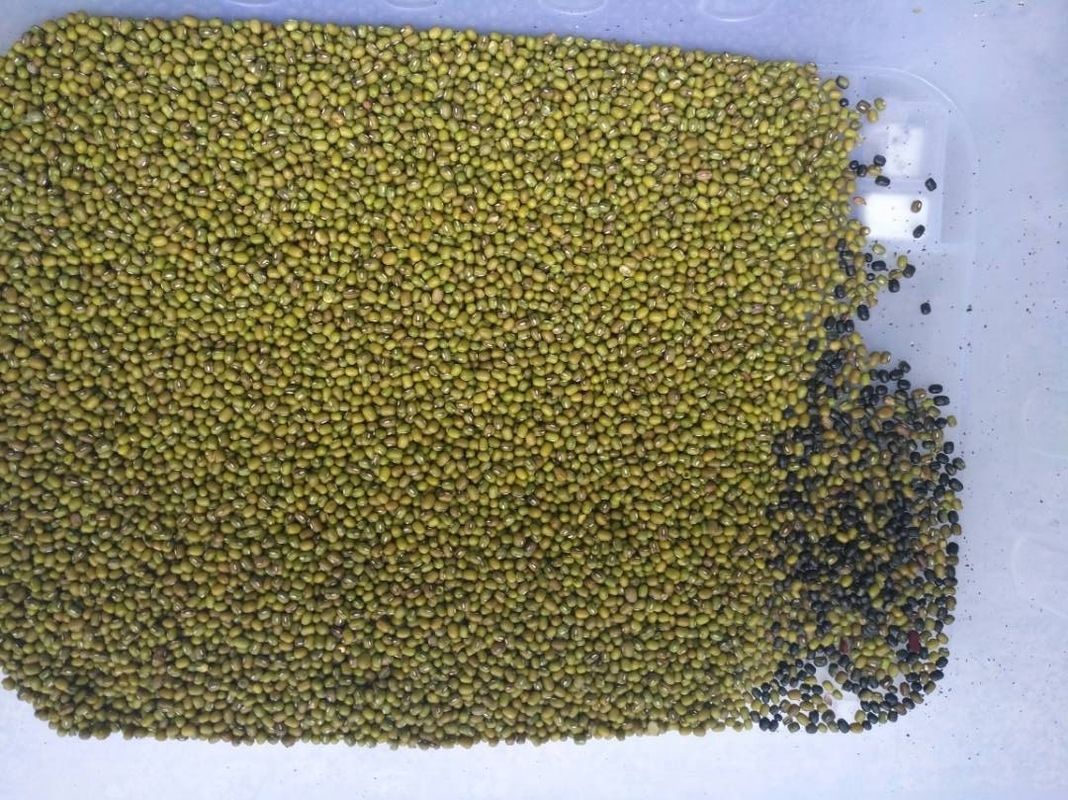Машины для сортировки цвета Mung Green Bean 8 подъездов Wifi дистанционное управление