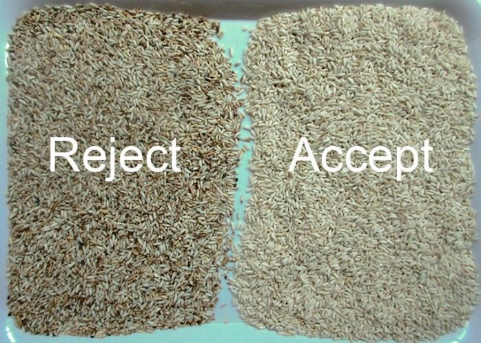 WENYAO Точная сортировка многоцветного обнаружения для сортировки риса Операции сортировки по цвету Машина для сортировки риса пропаренного длиннозерного