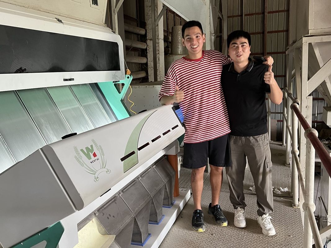 Сортировщица цвета пшеницы 5 парашютов Moldy, машина сортировщицы для пшеницы для извлекать пшеницу Mildew