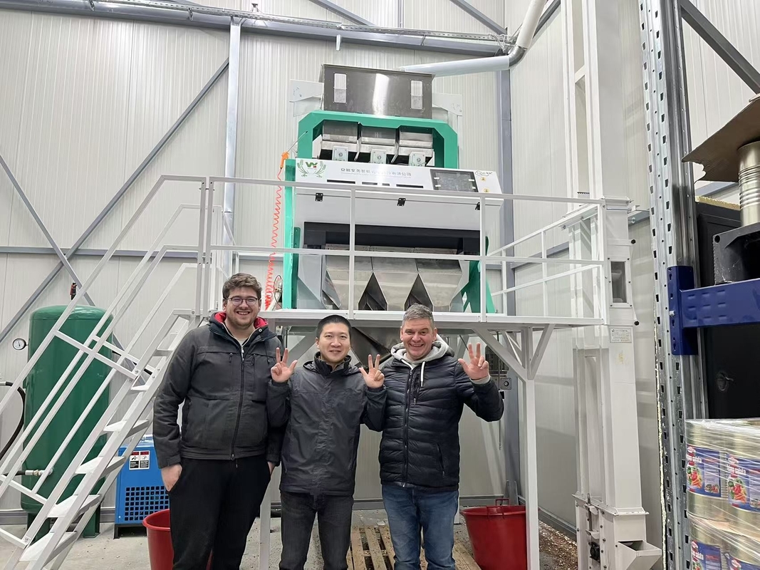 50-8000kg/h кофейные бобы рис грин пластик цифровой черника цветосортировщик орехи чай цвет сортировщик цвета сортировщик