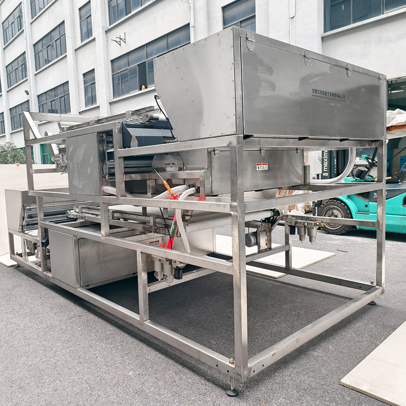 Нержавеющая 304 пищевой класс Hopper Lingonberry Color Separating Machine