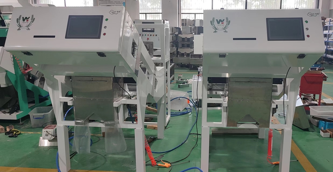 Wenyao 1 Chute 500kg/h Высокопроизводительный цветовой сепаратор CCD Печеный кофе зерна Машина для сортировки цвета зеленых зерен