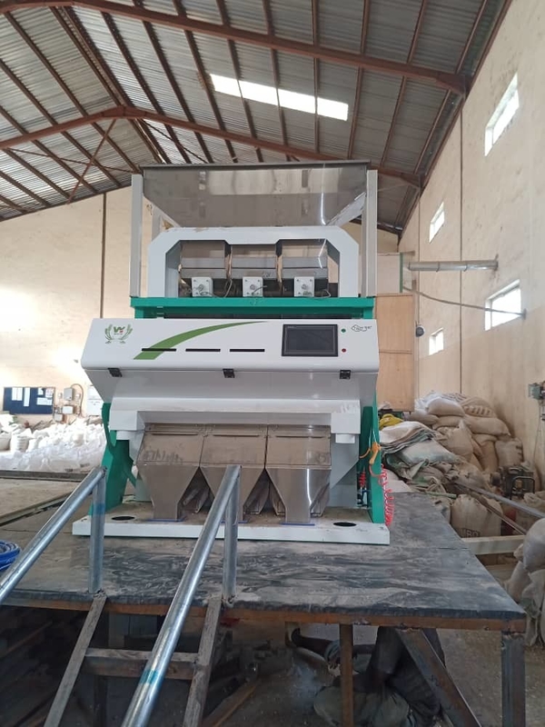 Wenyao Hazelnut Color Sorter CCD Камера Орехи оборудование для сортировки цветов