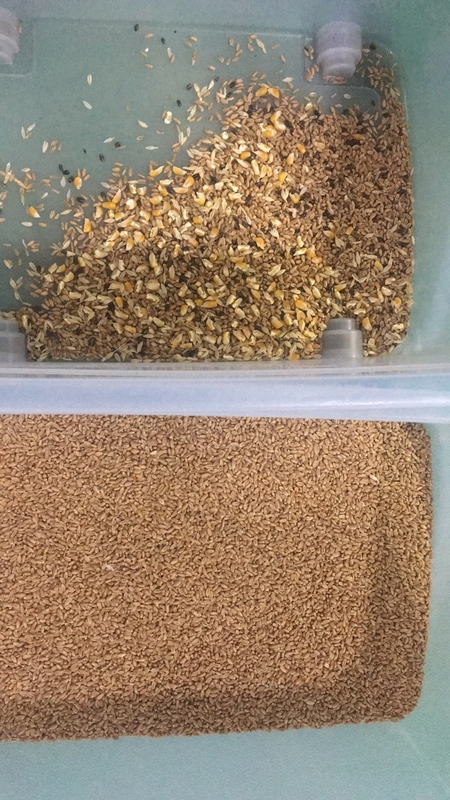 Интеллектуальный сортировщик цветов Wenyao 4 Chute Wheat Color Sorting Machine для зерновых