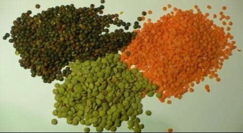 Машины для обработки сельскохозяйственных культур Wenyao Оптический сортировщик цветов для линз Разделяющий цвета