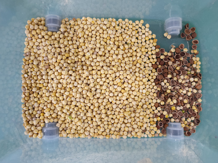 Wenyao Intelligent Chute Style Nut Shell and Kernel Separating Machine Машина для сортировки цвета орехов 64 канала