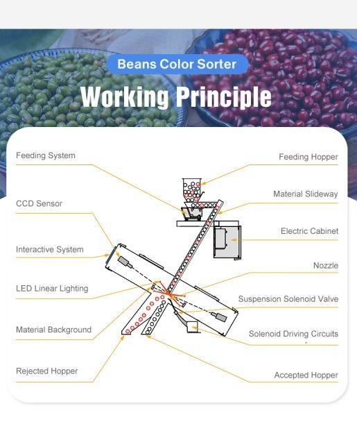 Сортировщик цвета риса для переработки зерна Тип оптического парашюта