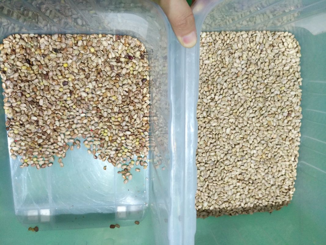 Оптический высокопроизводительный сортировщик Wenyao для фасоли (кидни, бразильская)