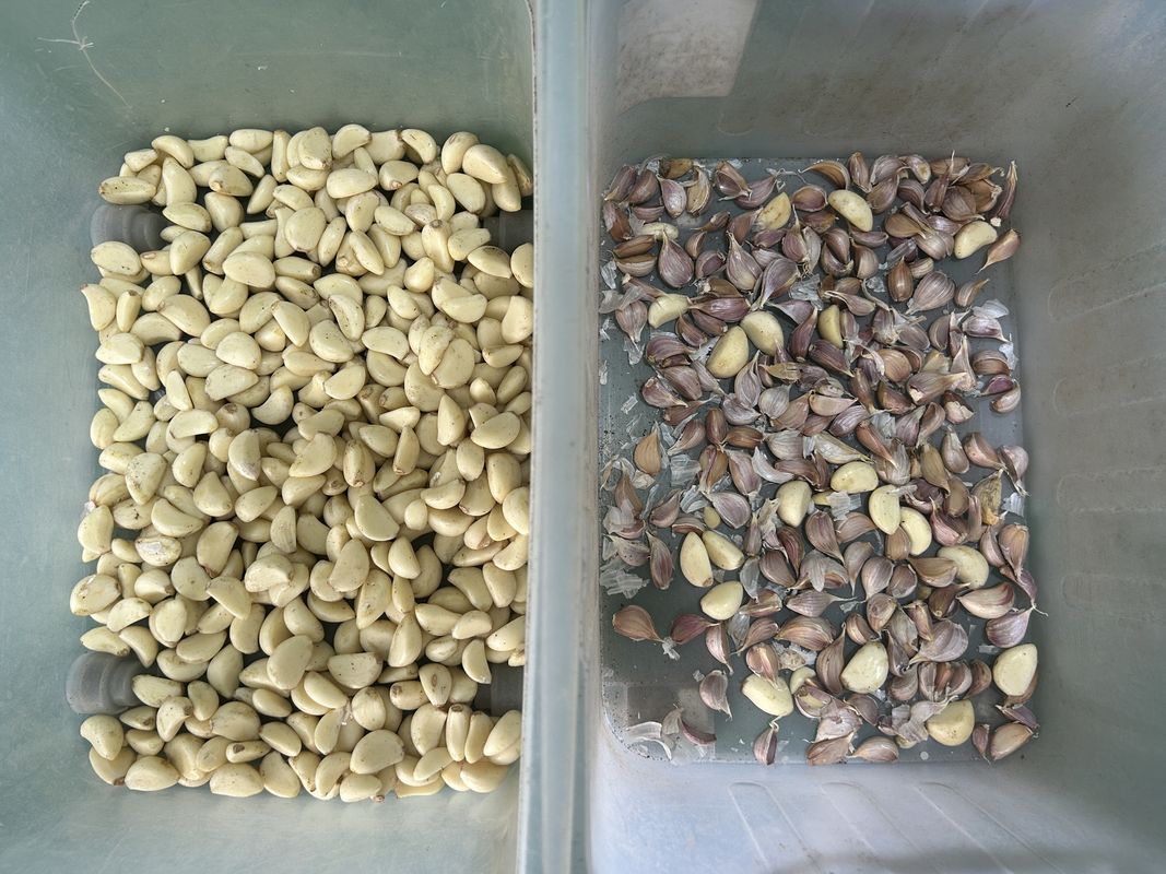 Wenyao Простая операция ремень минеральной руды цвет сепаратор машины руды цвет сортировщик