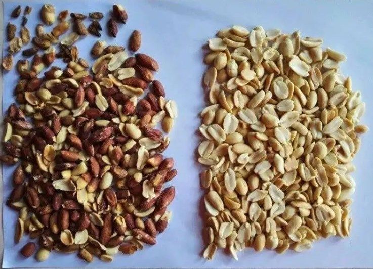 Сортировщица цвета гайки миндалины сортируя машины цвета камеры CCD полного цвета функции Wenyao Multi