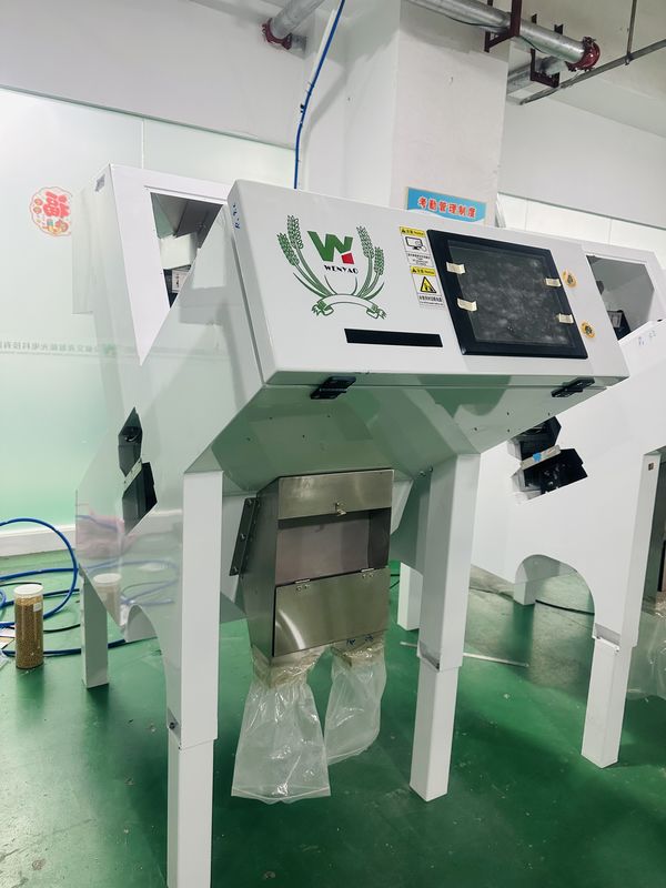 Автоматическая машина для сортировки черного перца Wenyao для высокоточной сортировки семян и бобов