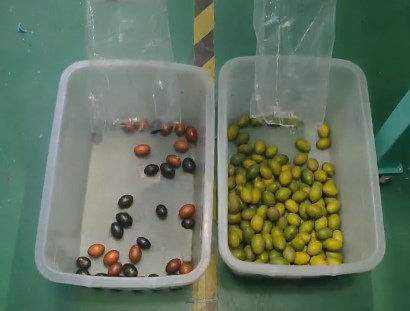 Интеллектуальный оптический сортировщик цвета кофе вишни Маленькая картофельная сортировщик черника сортировщик цвета