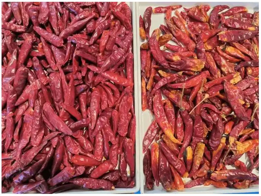 Оптическая интеллектуальная машина для сортировки чили по хорошей цене, минерального угля, топлива, сортировщик цвета