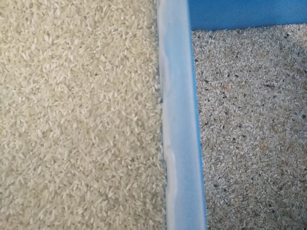 Машина AI Multi зерен сортировщицы цвета риса CCD цели автоматических сортируя