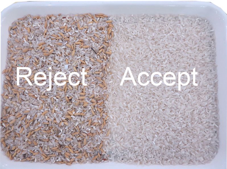 Машина AI Multi зерен сортировщицы цвета риса CCD цели автоматических сортируя