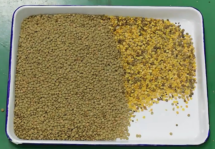 Wenyao 192 Channel Full-automatic Beans Color Sorter with 99.99% Precision for Nut Rice Corn Wheat