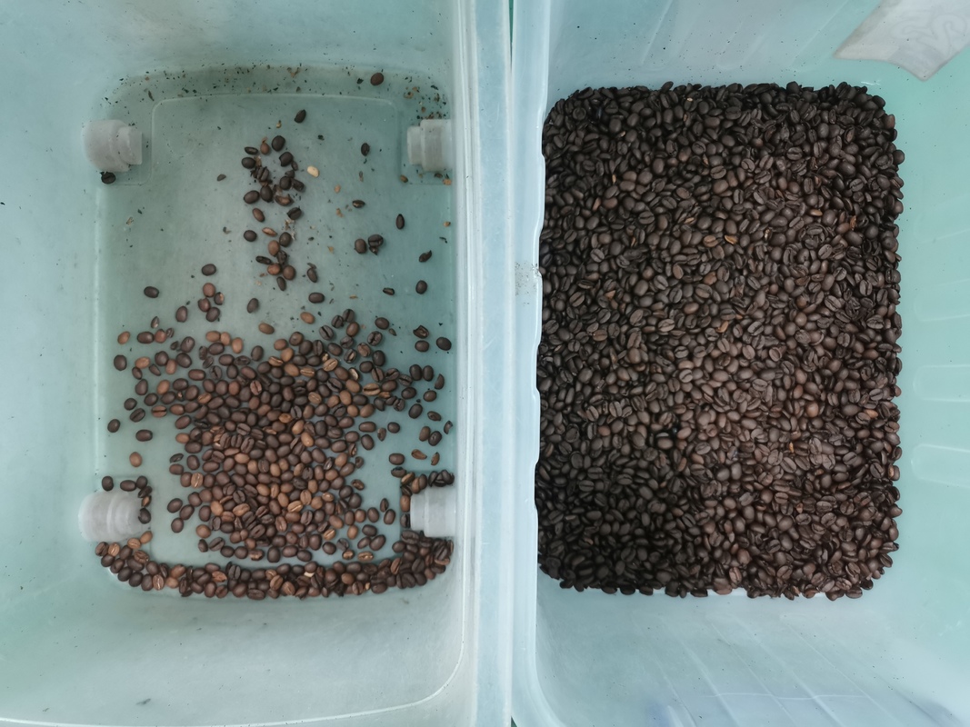 Wenyao 192 Channel Full-automatic Beans Color Sorter with 99.99% Precision for Nut Rice Corn Wheat