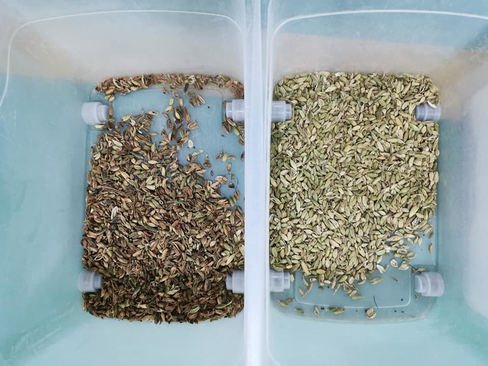 Multi-Purpose Automatic Authentic Herbs Green White Cardamom Pistachio Grain Kidney Beans Color Sorter   