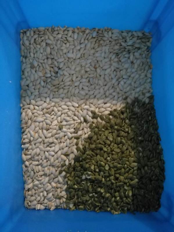 Wenyao Wifi дистанционное управление Семена подсолнечника Семена тыквы цветосортировщик с 2-летней гарантией и соленоидный клапан для промышленной обработки