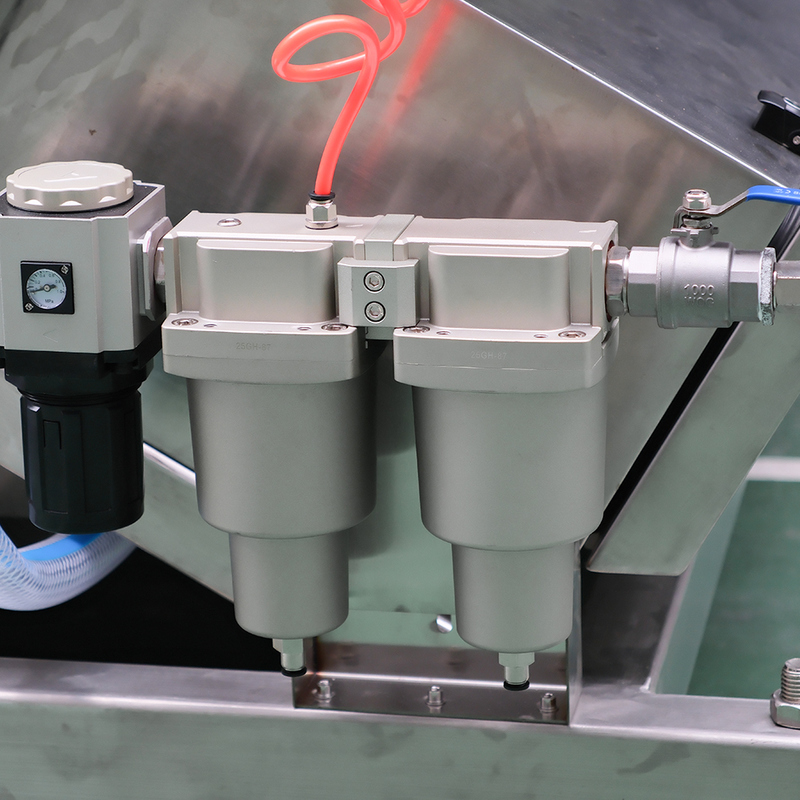 Multi-functional Nuts  Color Sorter Peanut Hazelnut Color Separating Machine 