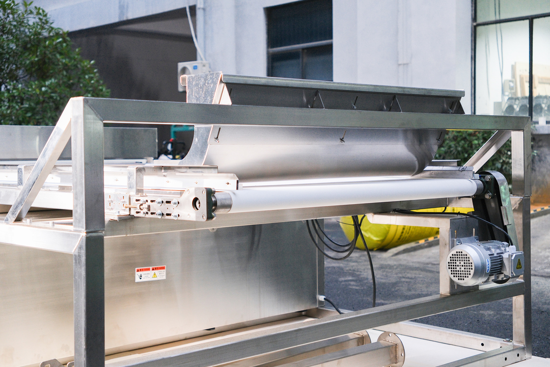 Optical Waterproof Belt Colour Sorter For Coffee Cherries Silkworm Chrysalis Frozen Vegetables