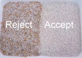 Машина для сортировки цвета пшеницы