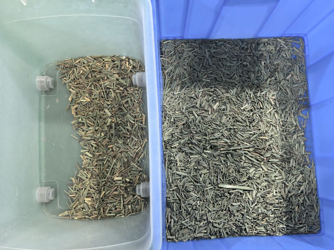 WENYAO CCD специи цветосортировщик оптическая лимонная трава цветосортировочная машина с заводской ценой