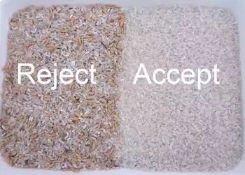 CCD Color Sorter Hazelnut Sorting Machine Многофункциональная цветовая сортировочная машина для риса семенного семена кунжута