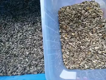 CCD Color Sorter Hazelnut Sorting Machine Многофункциональная цветовая сортировочная машина для риса семенного семена кунжута
