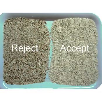 Машина для сортировки по цвету грецких орехов, бобов, миндаля, арахиса. Удаление плохих, заплесневелых