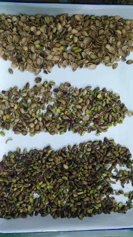 Автоматический сортировщик орехов Wenyao с CCD-сенсором TOSHIBA, бункером из пищевой нержавеющей стали 304 и дистанционным управлением Wi-Fi для высокоэффективной сортировки орехов