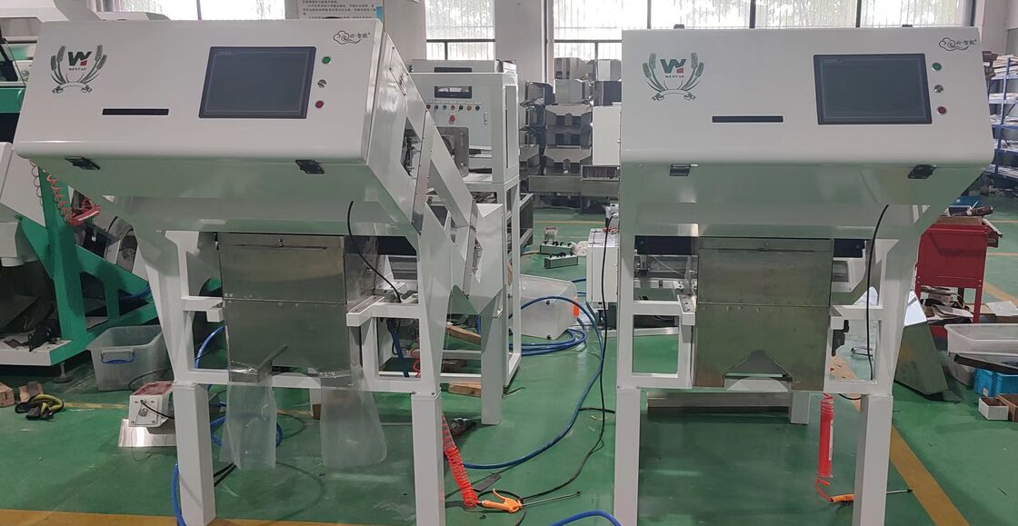 Compact Belt Color Sorter with TOSHIBA Sensor and Wifi Remote Control for Efficient Fruit Sorting