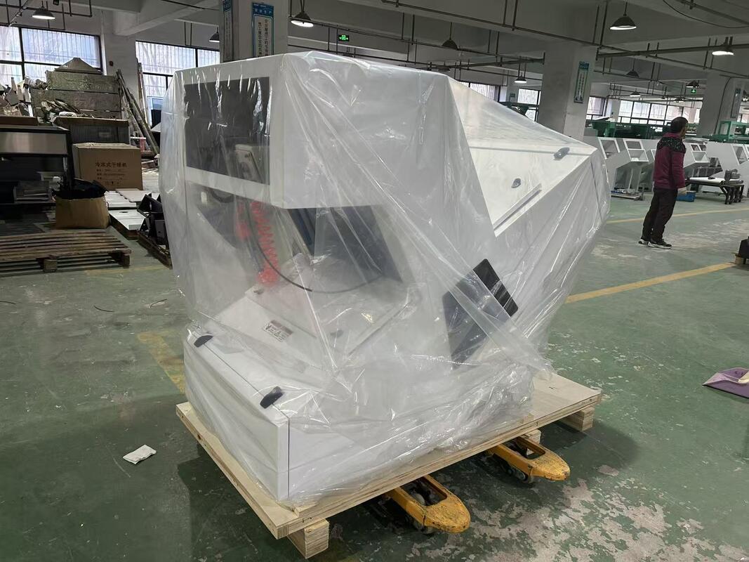 WENYAO 1 Машина для оптической сортировки цвета для сушеных каштанов