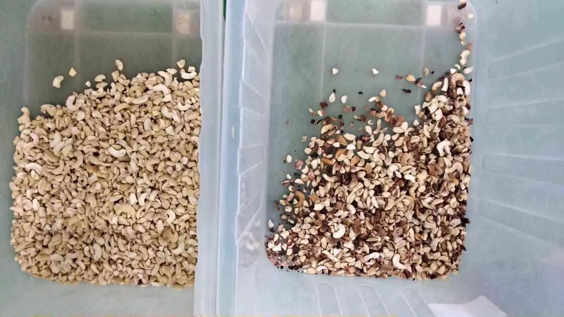 Профессиональная машина для разделения орехов Wenyao Кашью орех орех Areca орех цветосортировщик с дистанционным управлением WIFI