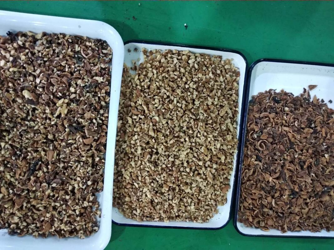 Профессиональная машина для разделения орехов Wenyao Кашью орех орех Areca орех цветосортировщик с дистанционным управлением WIFI