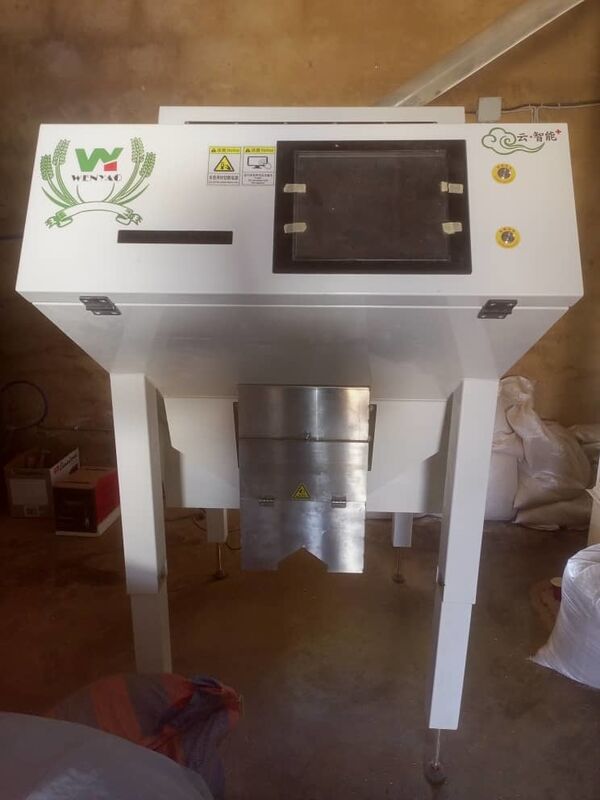 Wenyao Горячая продажа оптический цветосортировщик Кофейные бобы цветосортировочная машина