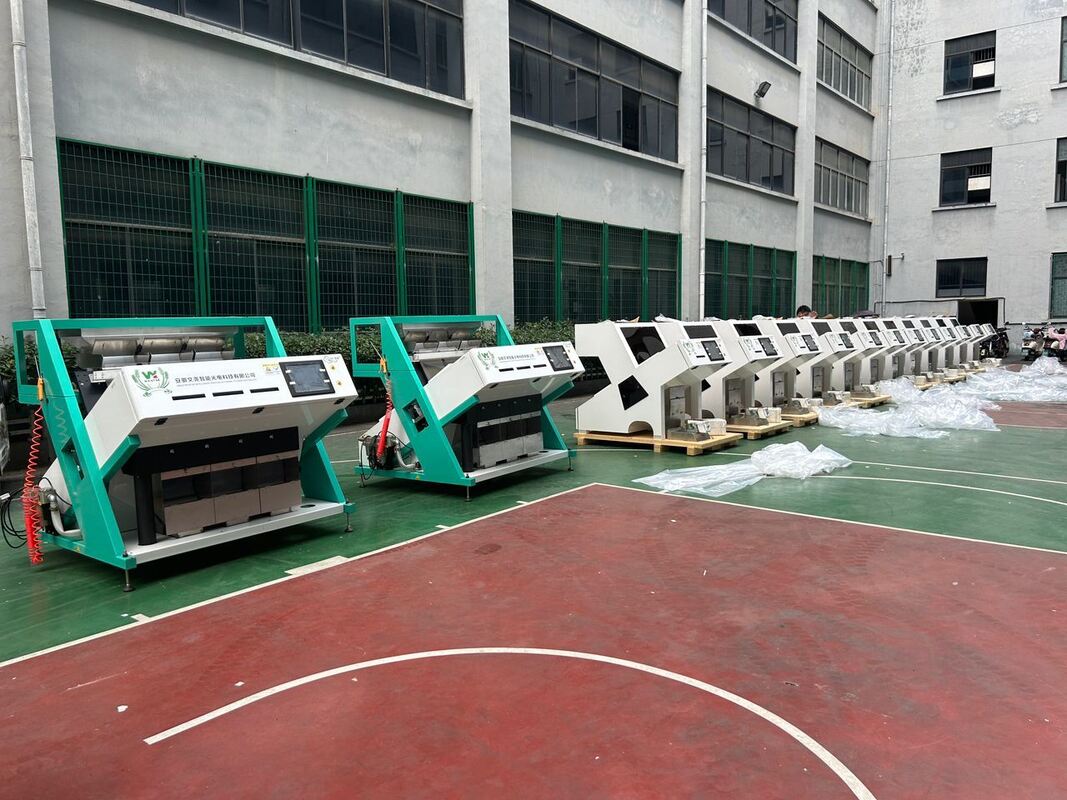 Wenyao Горячая продажа оптический цветосортировщик Кофейные бобы цветосортировочная машина