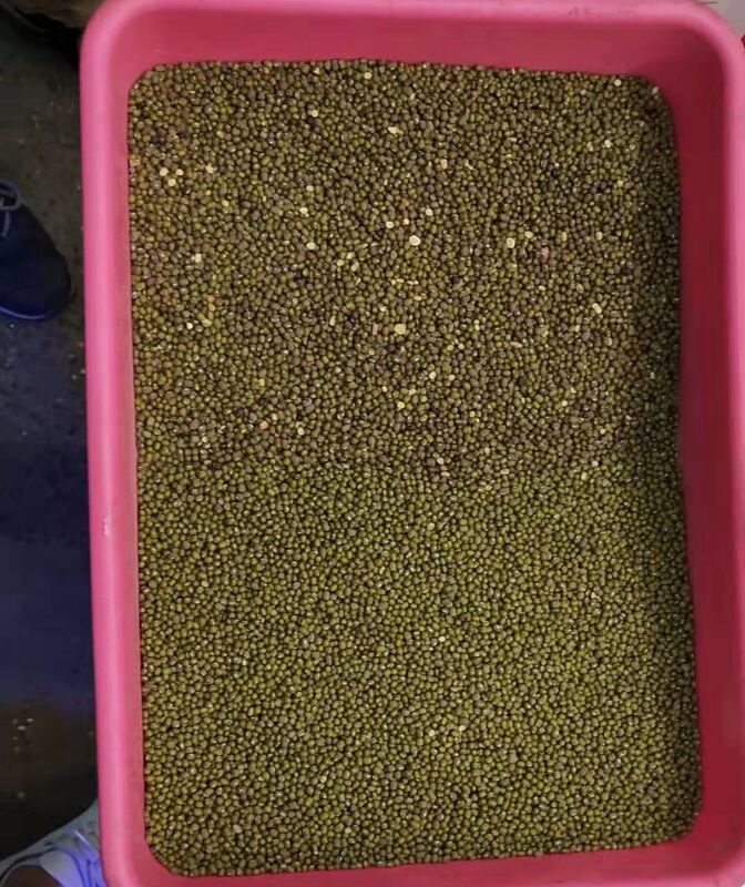 WENYAO 8 Chutes Pulses Sorting Machine for Lentil Chickpea Optical Beans Color Sorter для продажи