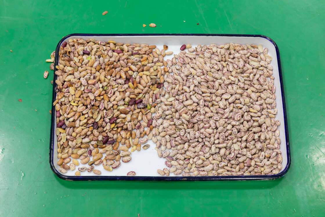 Wenyao 10 Chute 640 Channels Большой цветосортирующий аппарат для бобов Mung Bean Kidney Bean Оптический сортировщик для сортировки орехов