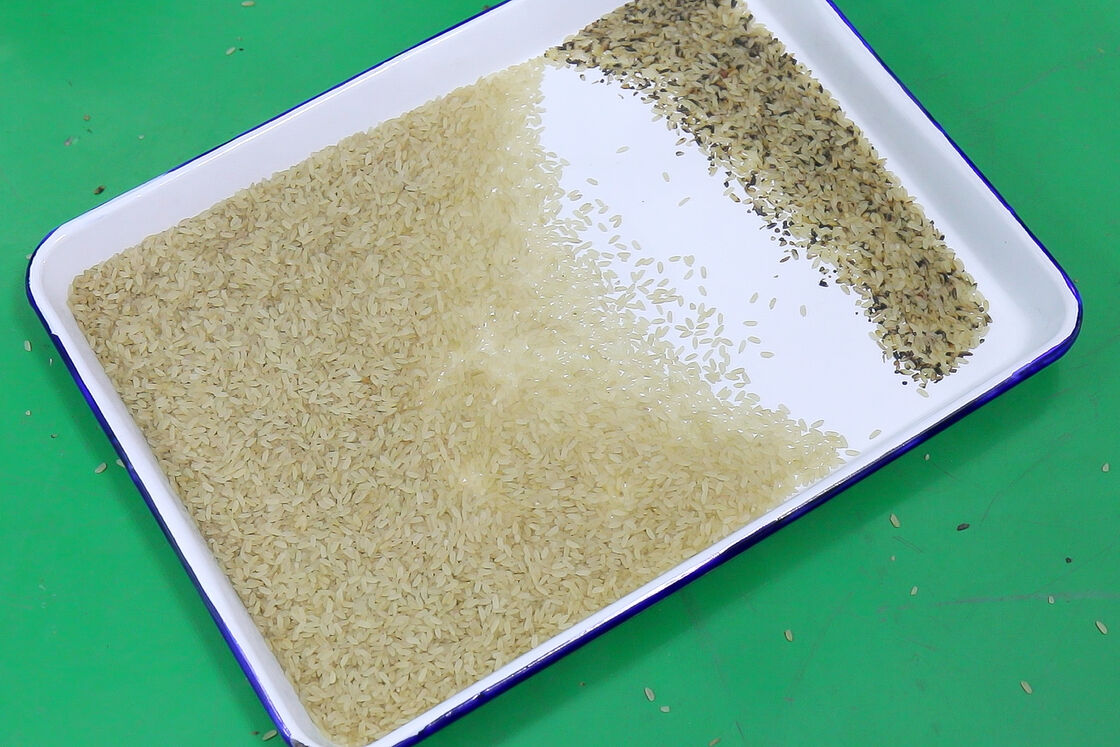 Высокоточный сортировщик риса Wenyao, оптический сортировщик для очистки зерна с воздушным компрессором и воздушным баком