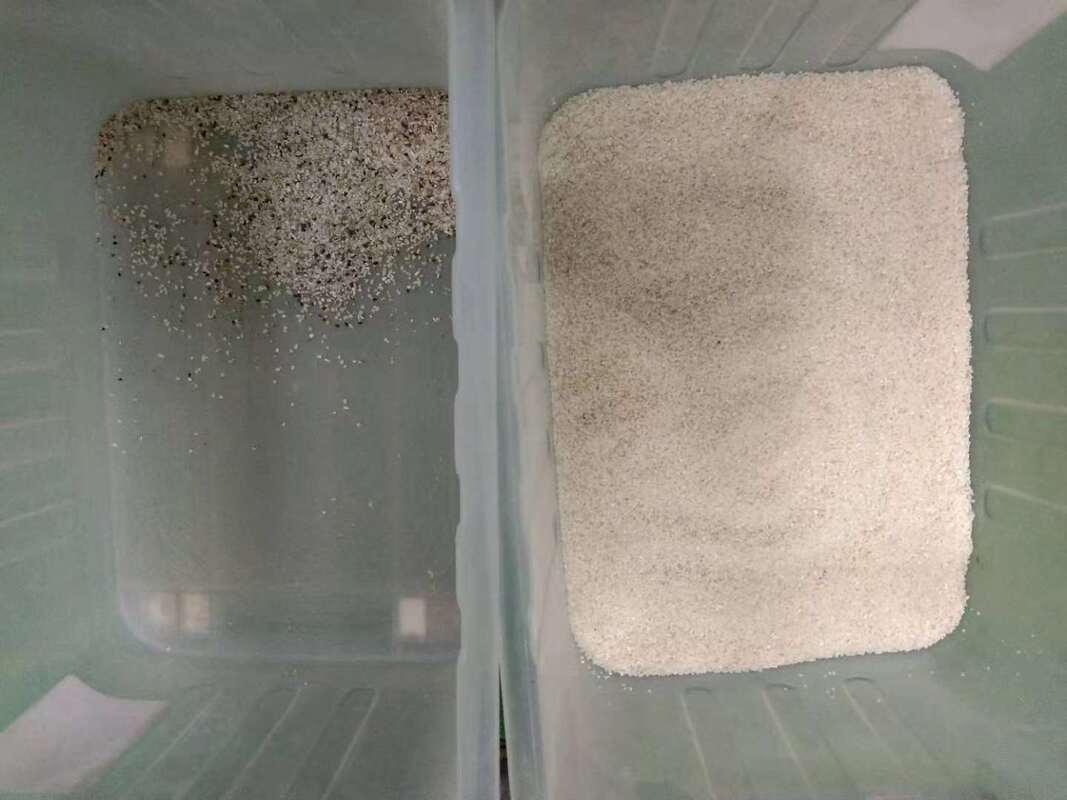 Wenyao Новейший искусственный интеллект обучение Сельскохозяйственный цветосепаратор Квиноа цветосортирующее оборудование для очистки рисовых зерен Автоматический оптический сортировщик