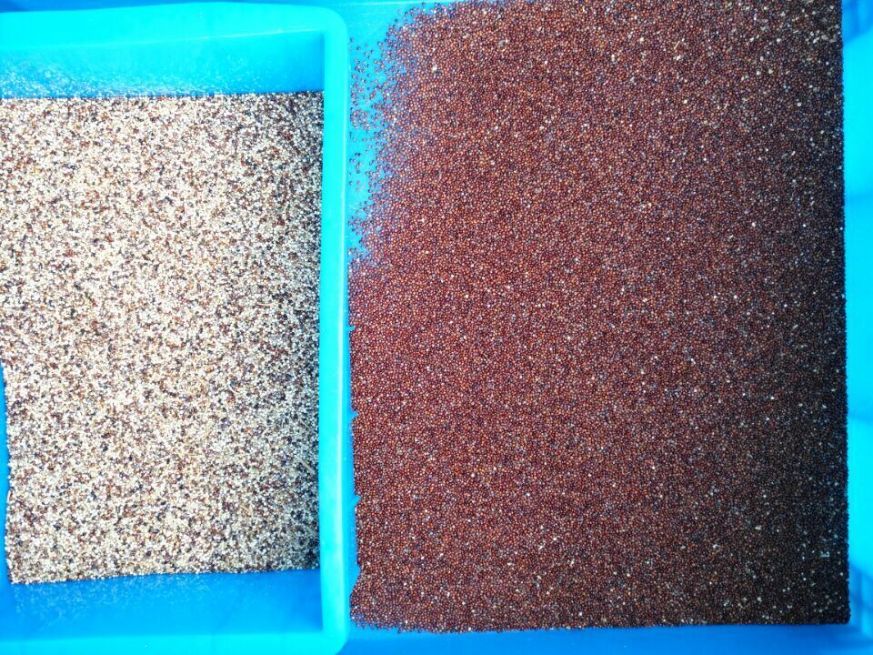 WENYAO Multimode Полностью автоматический сортировщик цвета зерна для белого риса и кукурузы