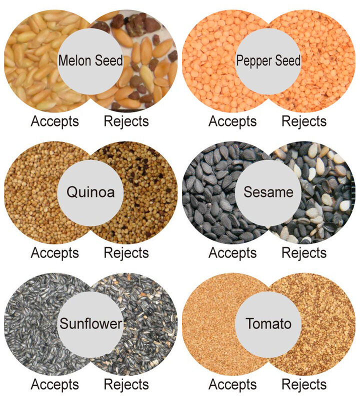 Сортировщик орехов WENYAO по цвету с производительностью 2400-4000 кг и точностью 0,999 для сортировки макадамии