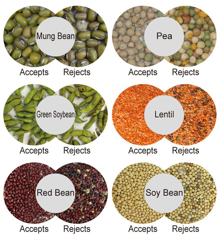 WENYAO Adjustable Parameters 64 Channels High Efficiency Working Nut Color Sorter for Pine Nut