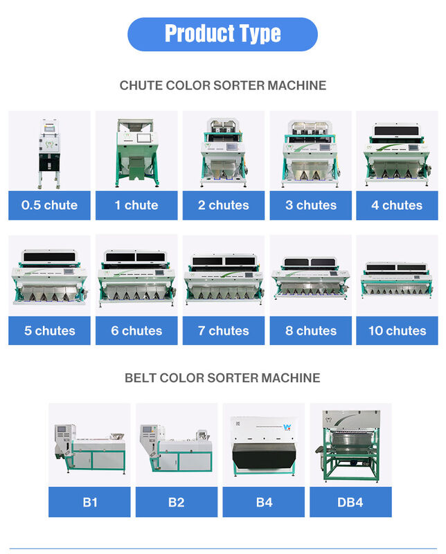 WENYAO CCD Camera AI Nut Color Sorter с полным цветовым обнаружением, стабильной работой и точностью ≥99,99% для грецких орехов