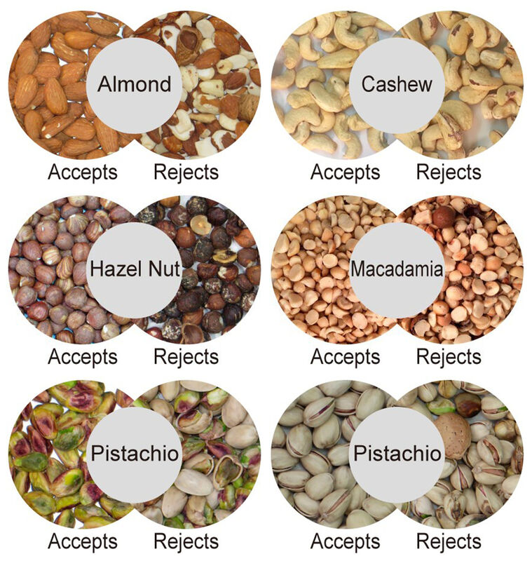 WENYAO CCD Camera AI Nut Color Sorter с полным цветовым обнаружением, стабильной работой и точностью ≥99,99% для грецких орехов